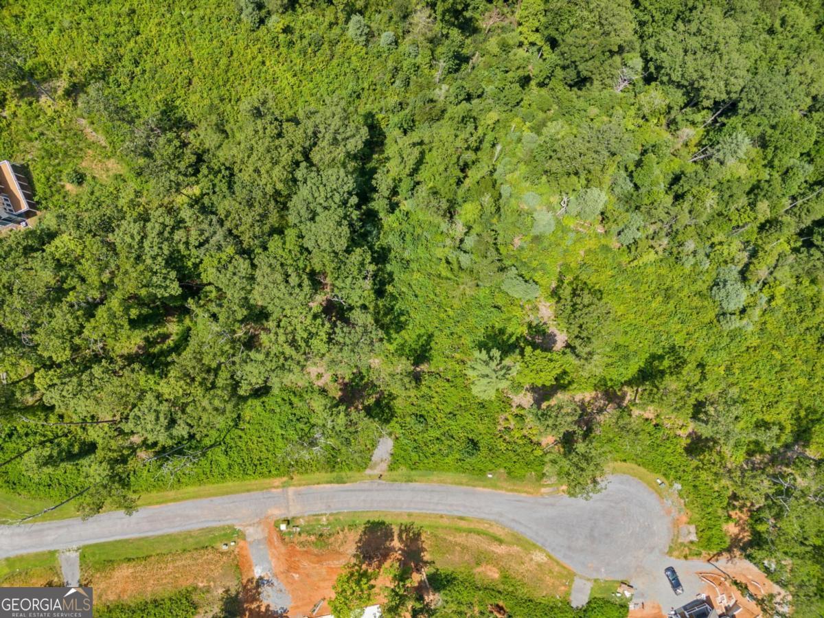 105 River Knoll Trail Ellijay GA 30540