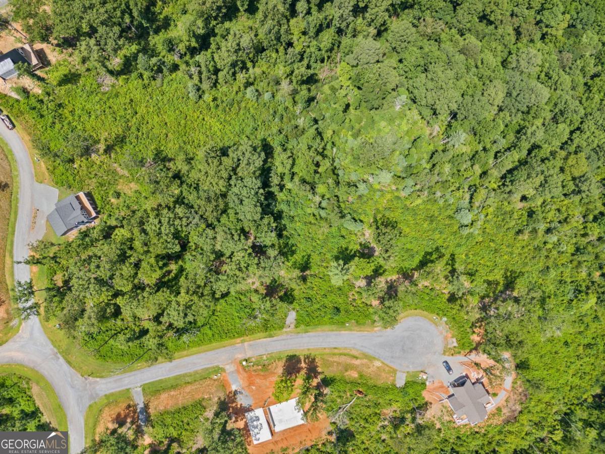 105 River Knoll Trail Ellijay GA 30540