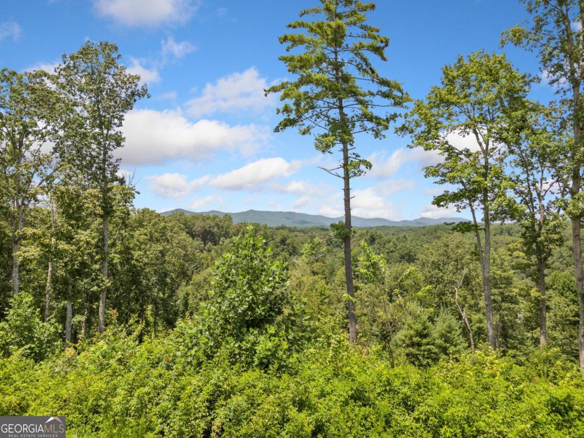 105 River Knoll Trail Ellijay GA 30540