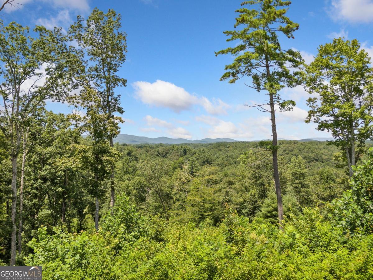 105 River Knoll Trail Ellijay GA 30540