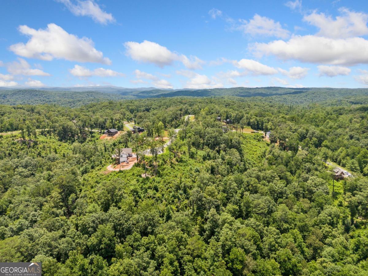 105 River Knoll Trail Ellijay GA 30540