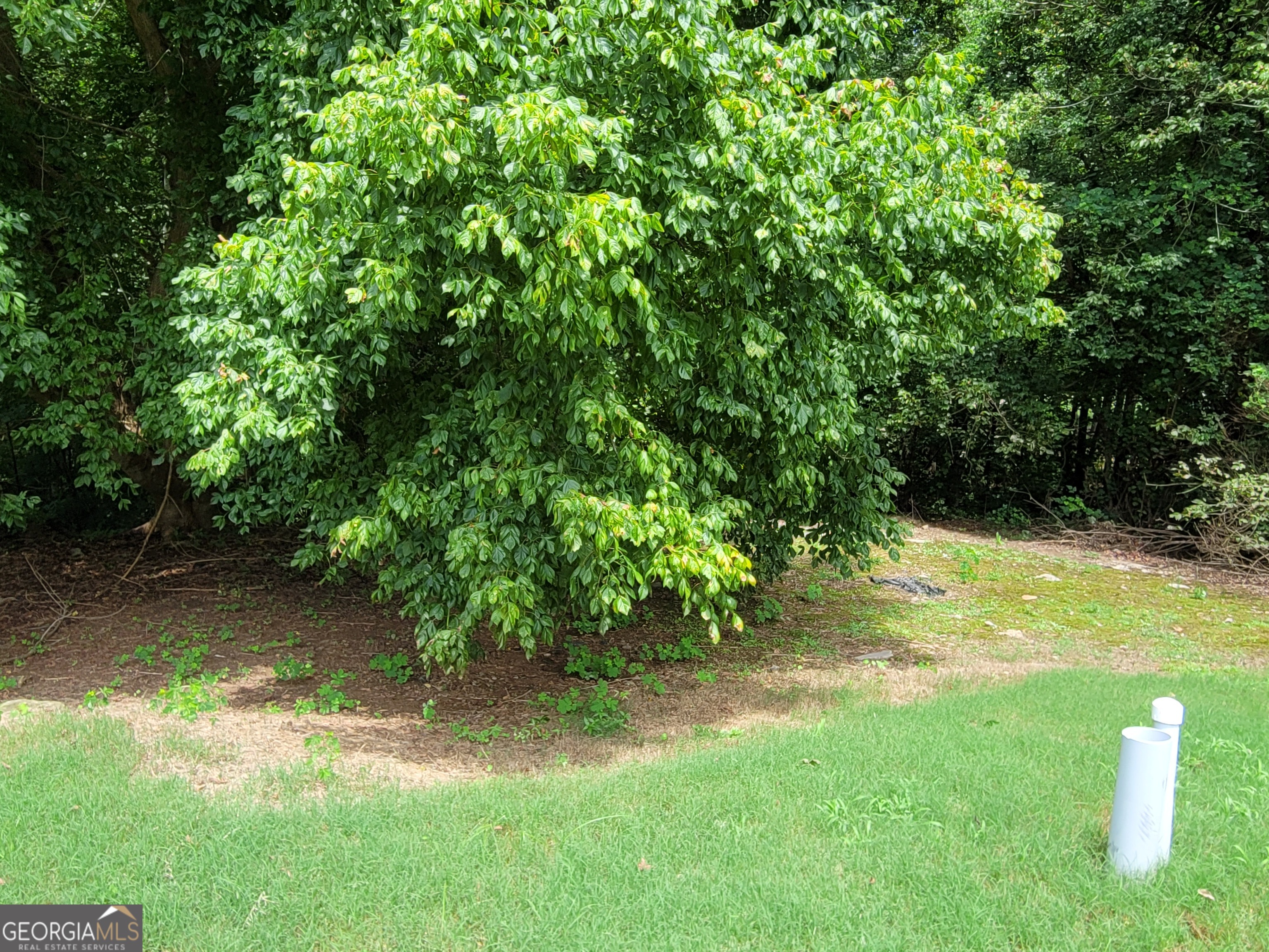 1657 Karsyn Lane Lithia Springs GA 30122