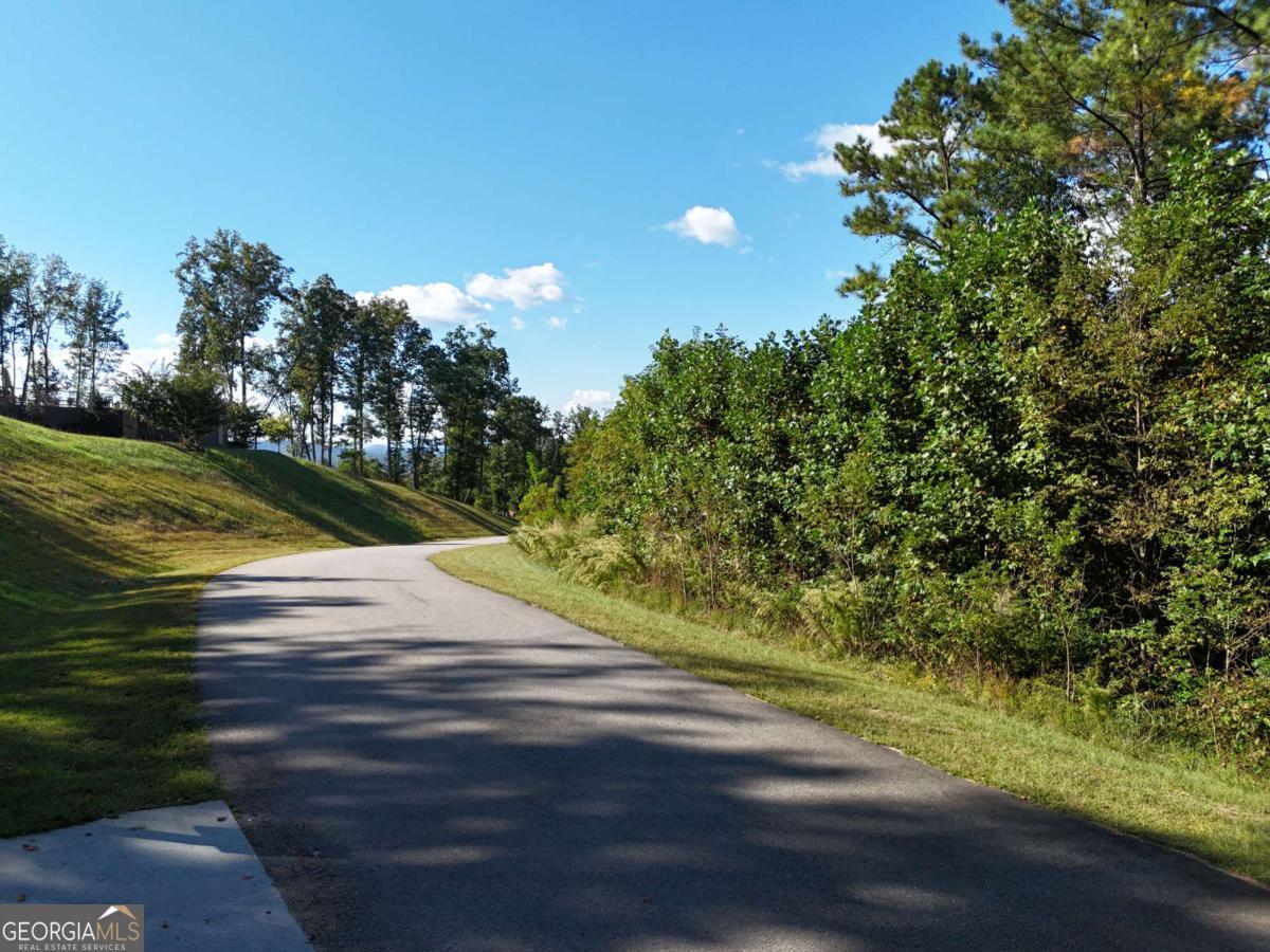LOT55 Thirteen Hundred Blairsville GA 30512