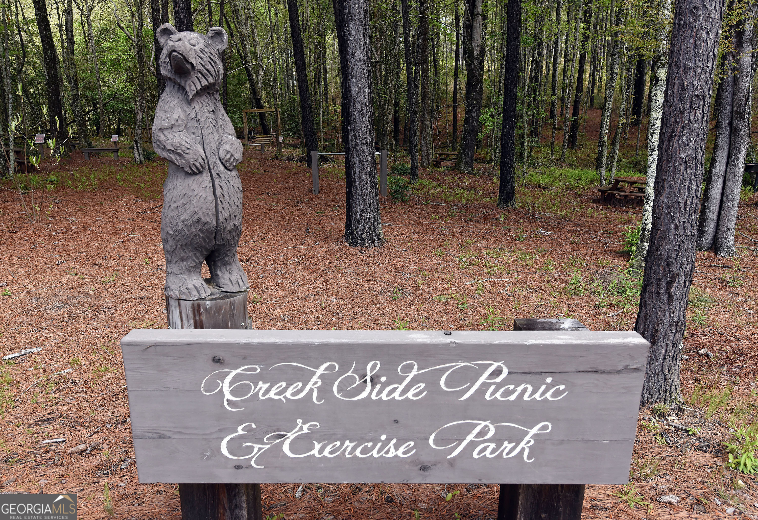 LOT55 Thirteen Hundred Blairsville GA 30512
