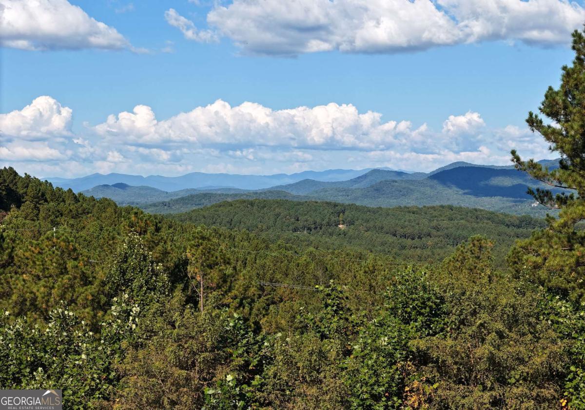 LOT55 Thirteen Hundred Blairsville GA 30512