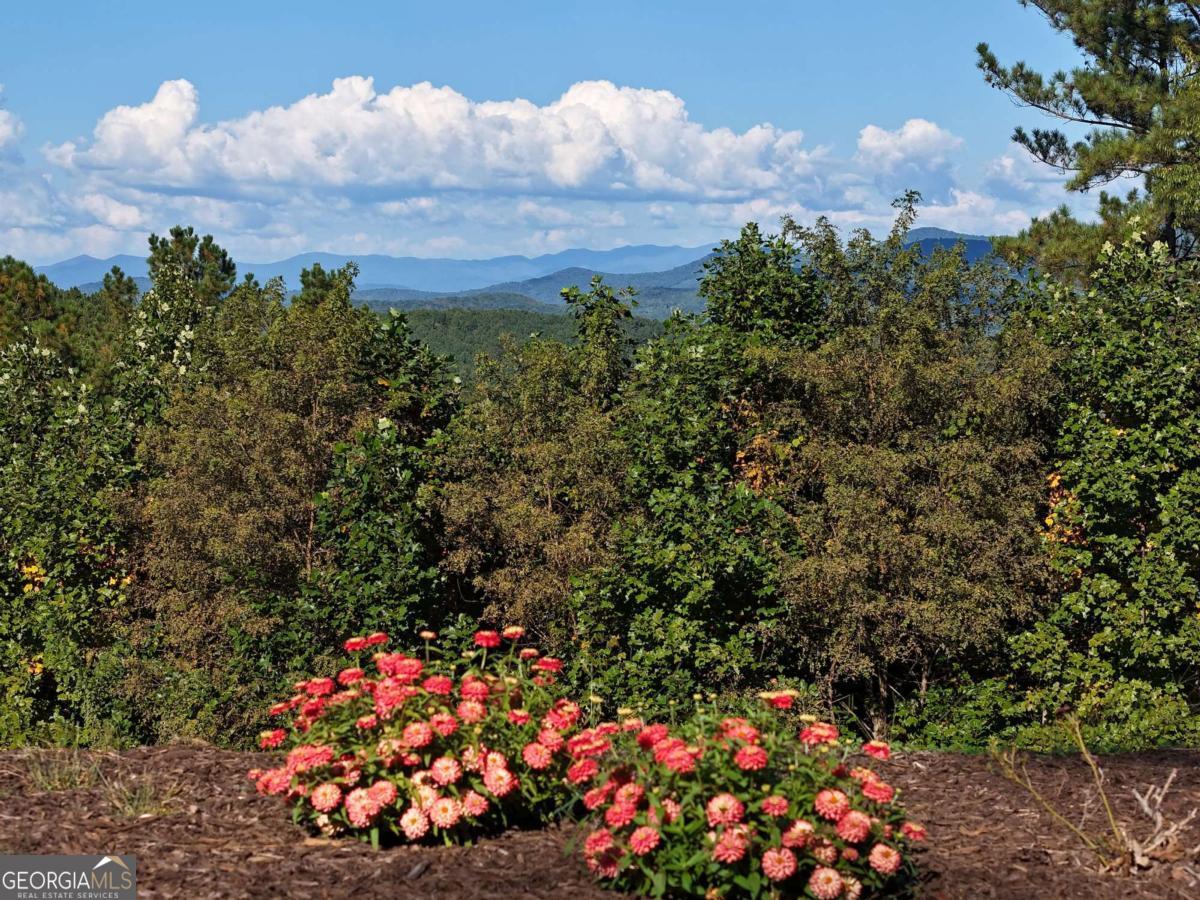 LOT55 Thirteen Hundred Blairsville GA 30512