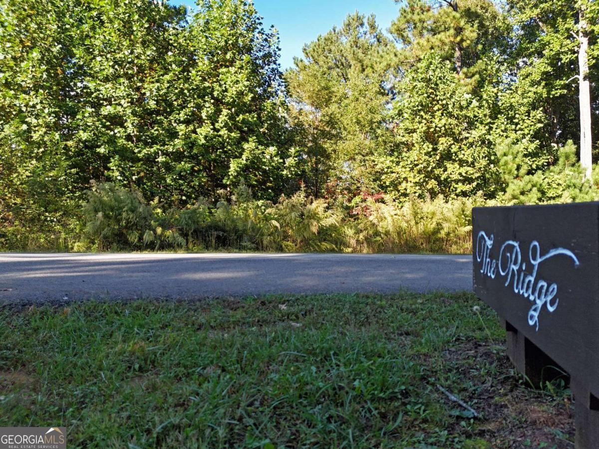 LOT55 Thirteen Hundred Blairsville GA 30512