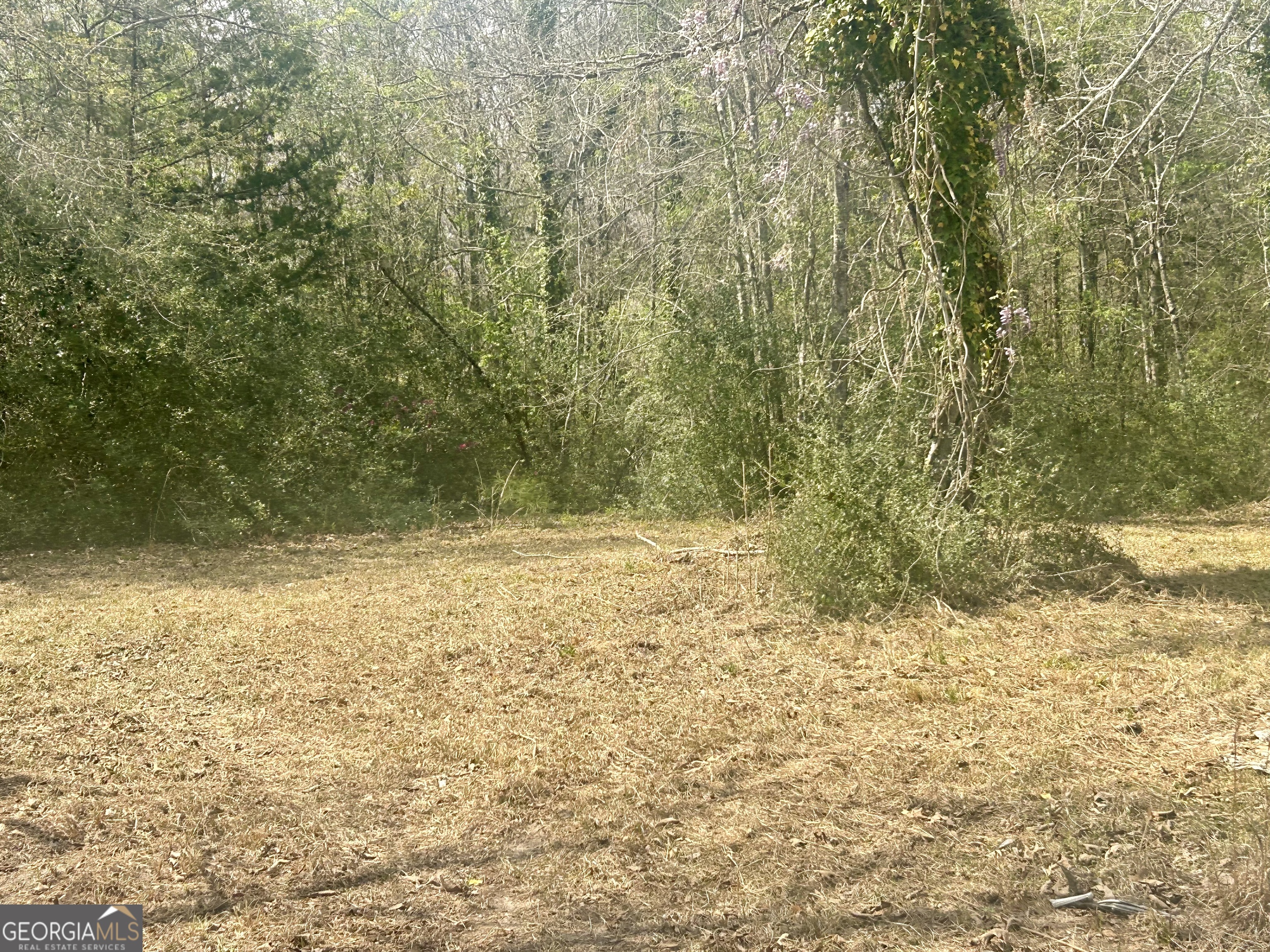 1964 Wrens Highway Thomson GA 30824