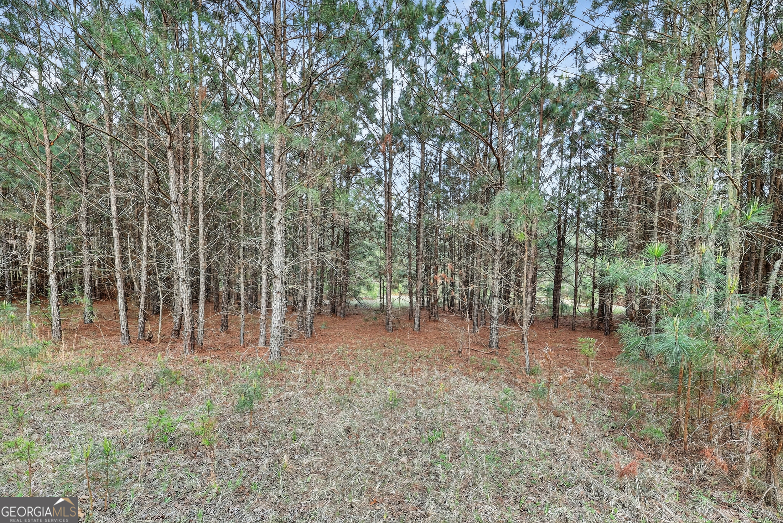 1964 Wrens Highway Thomson GA 30824