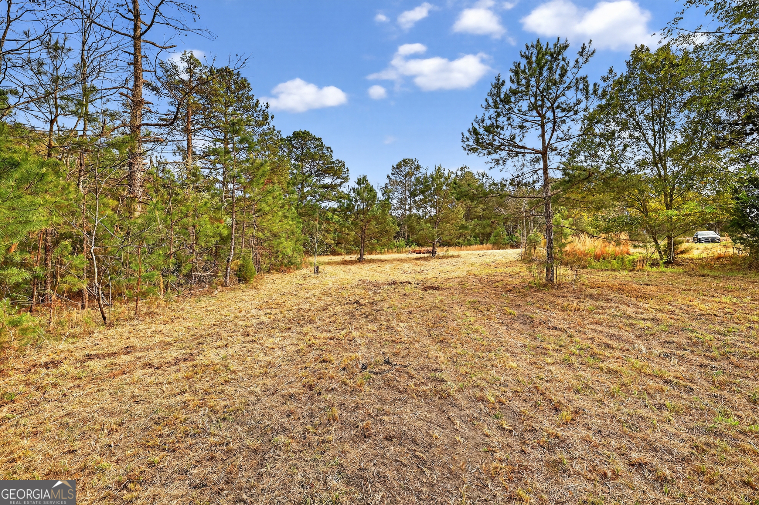 1964 Wrens Highway Thomson GA 30824