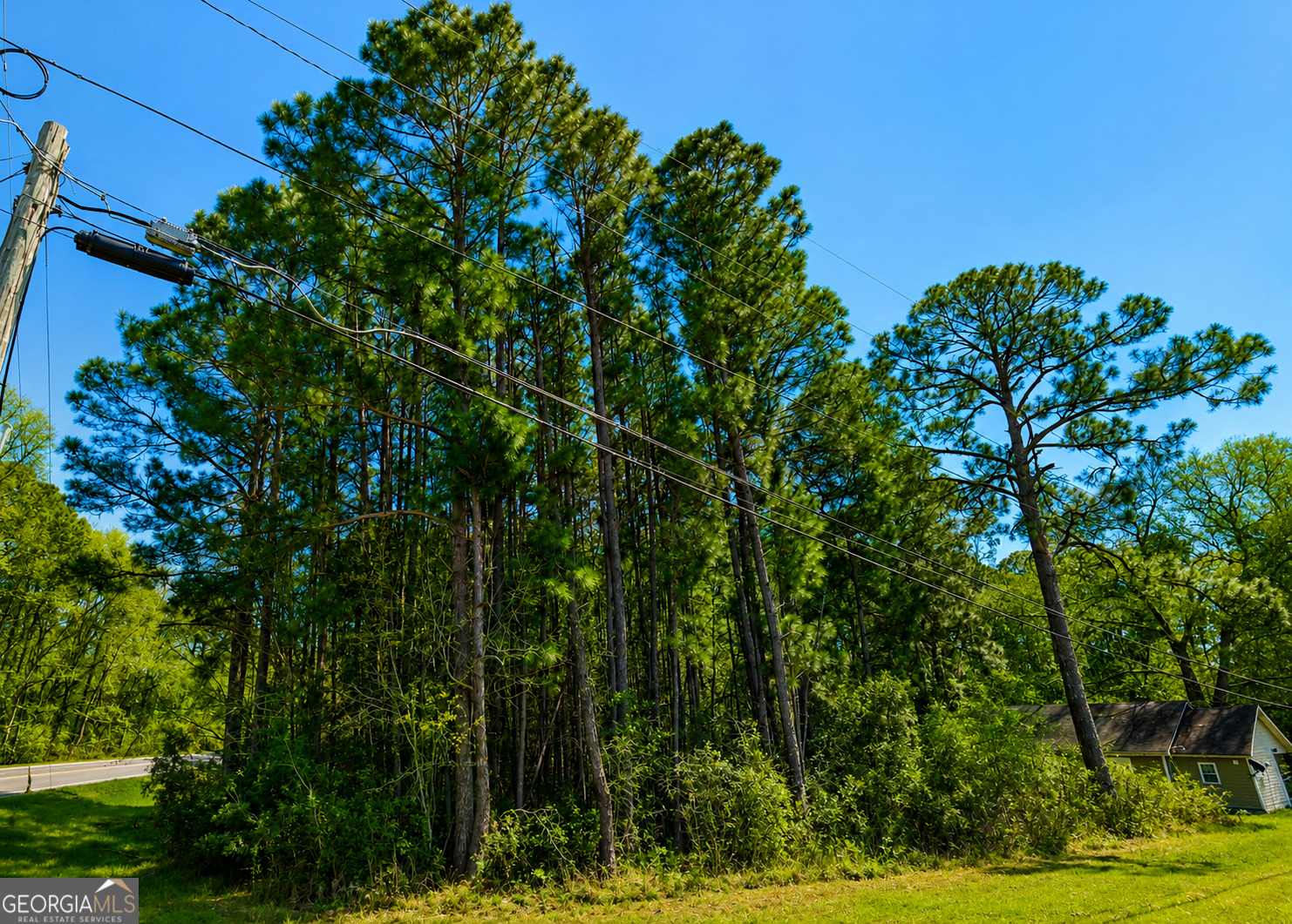 77 Acre Leary North Road Ashburn GA 31714