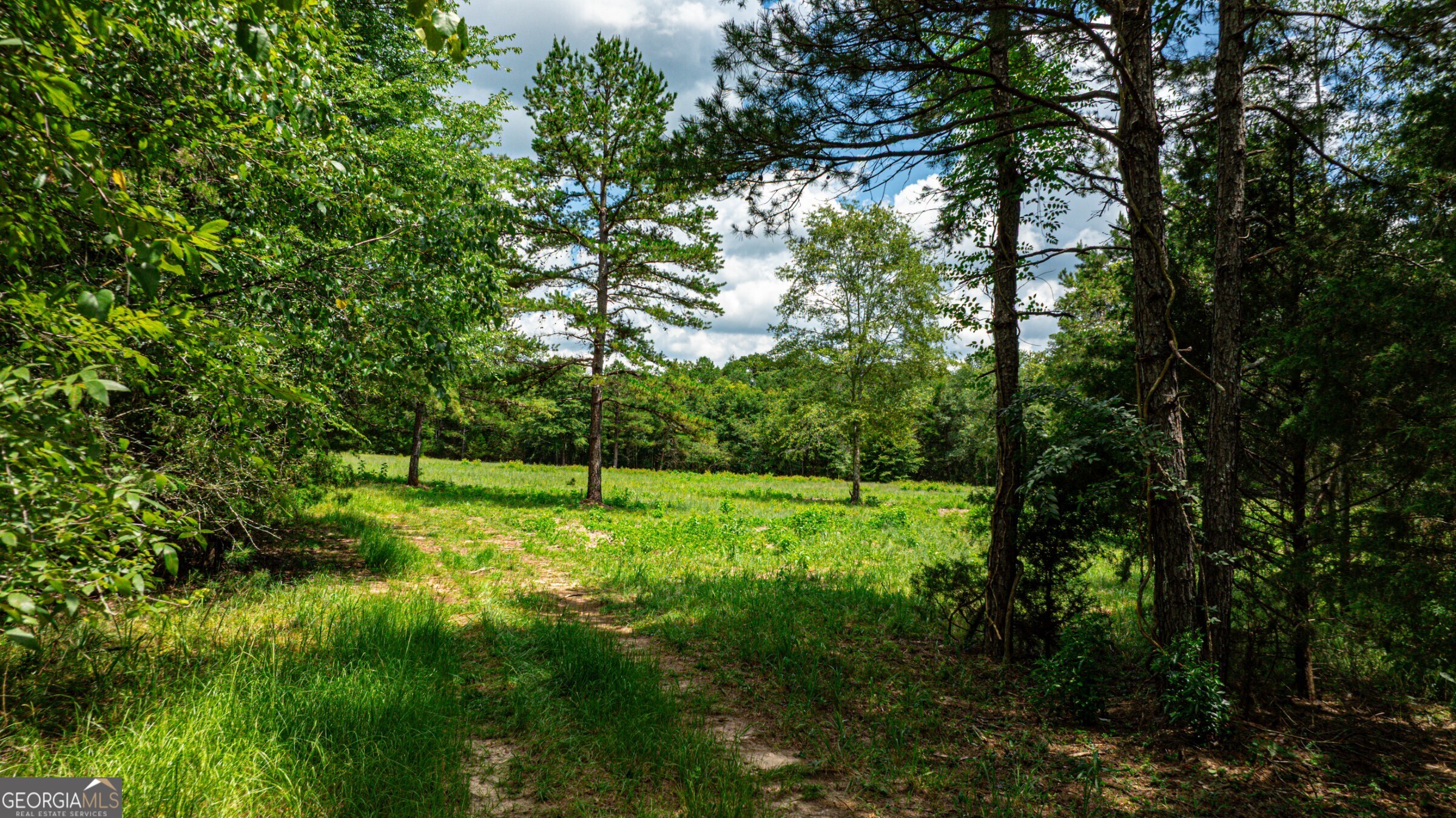 0 Wildcat Bridge Road Royston GA 30662