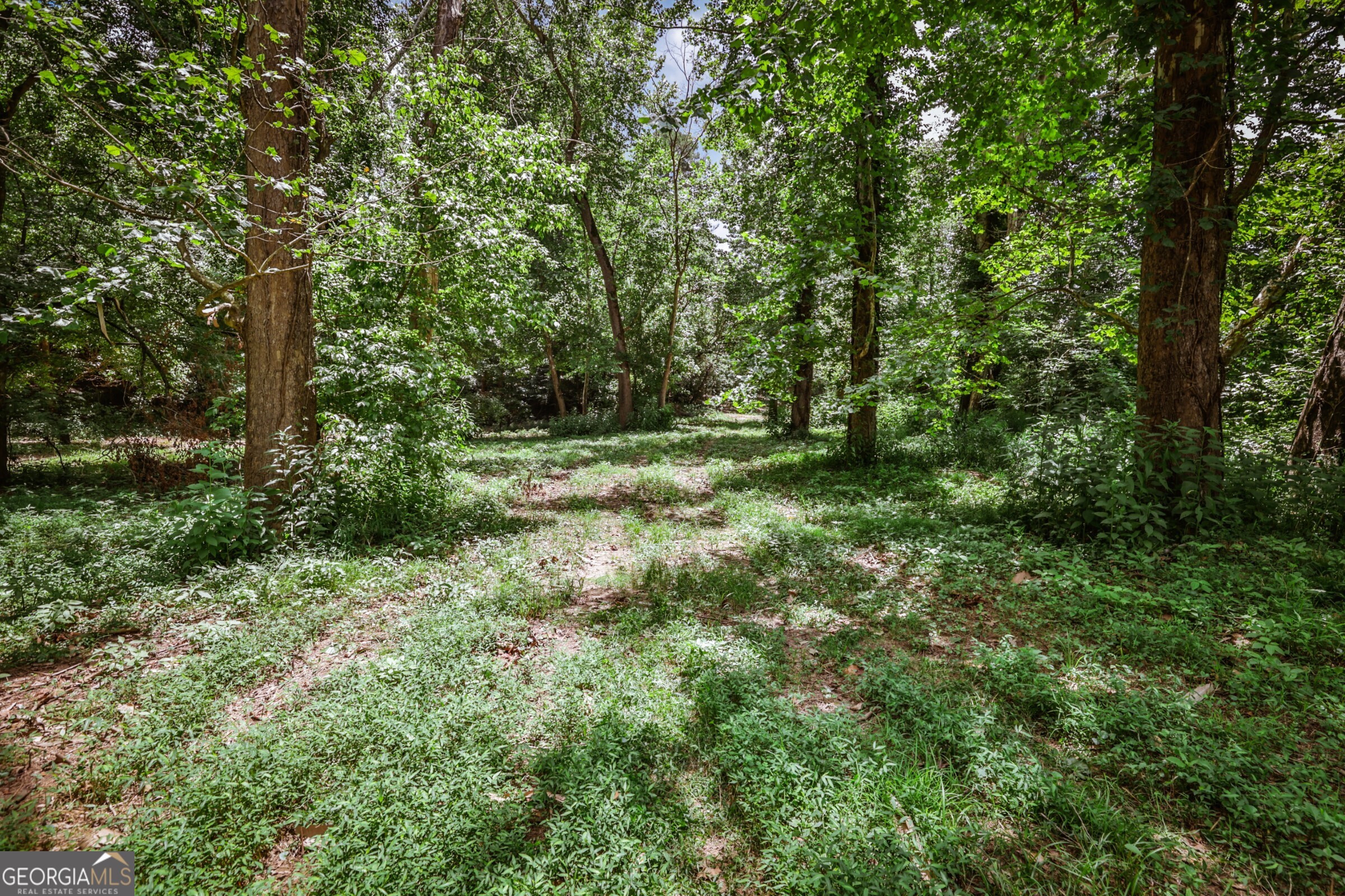 0 Wildcat Bridge Road Royston GA 30662