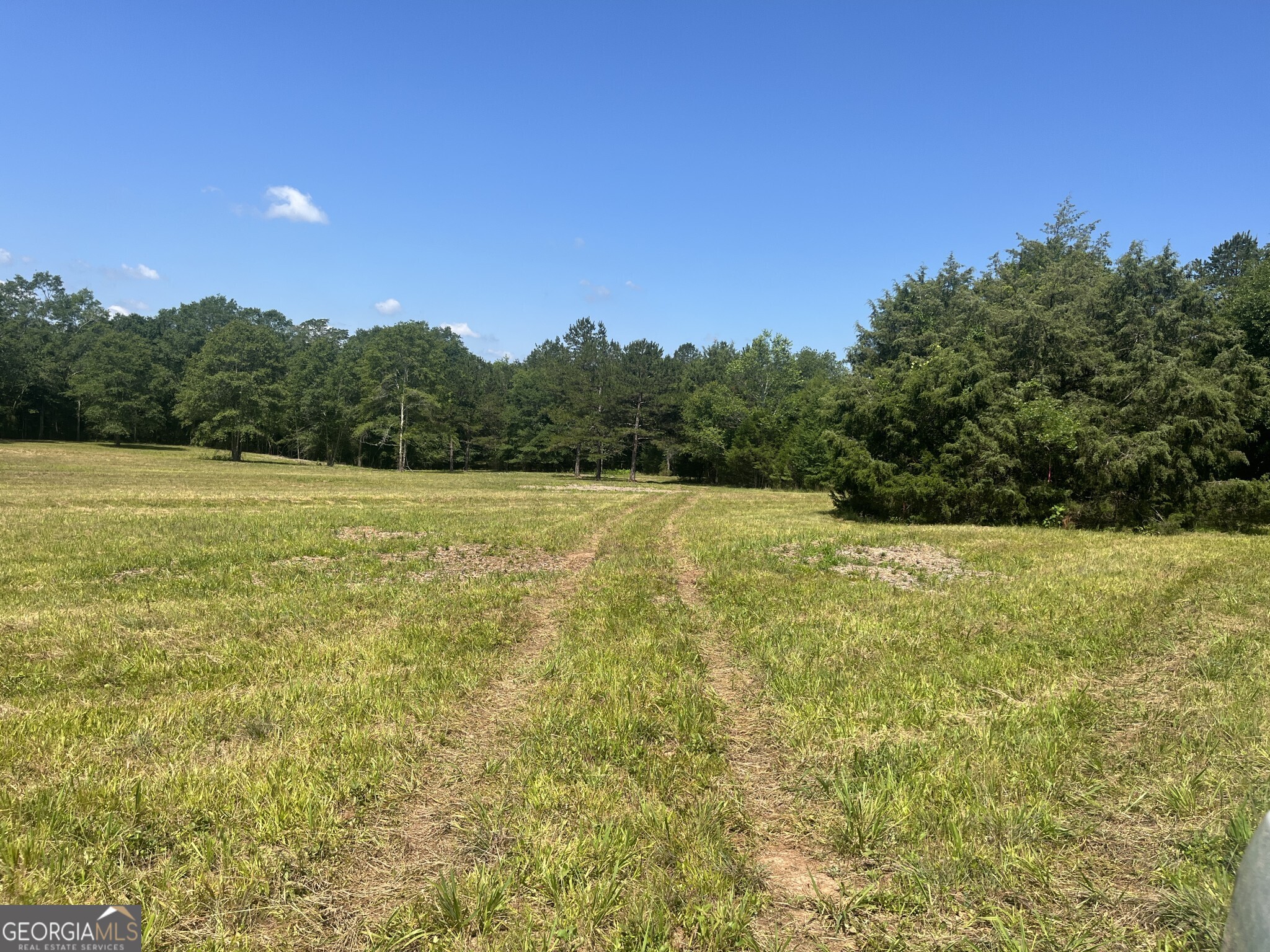 0 Wildcat Bridge Road Royston GA 30662