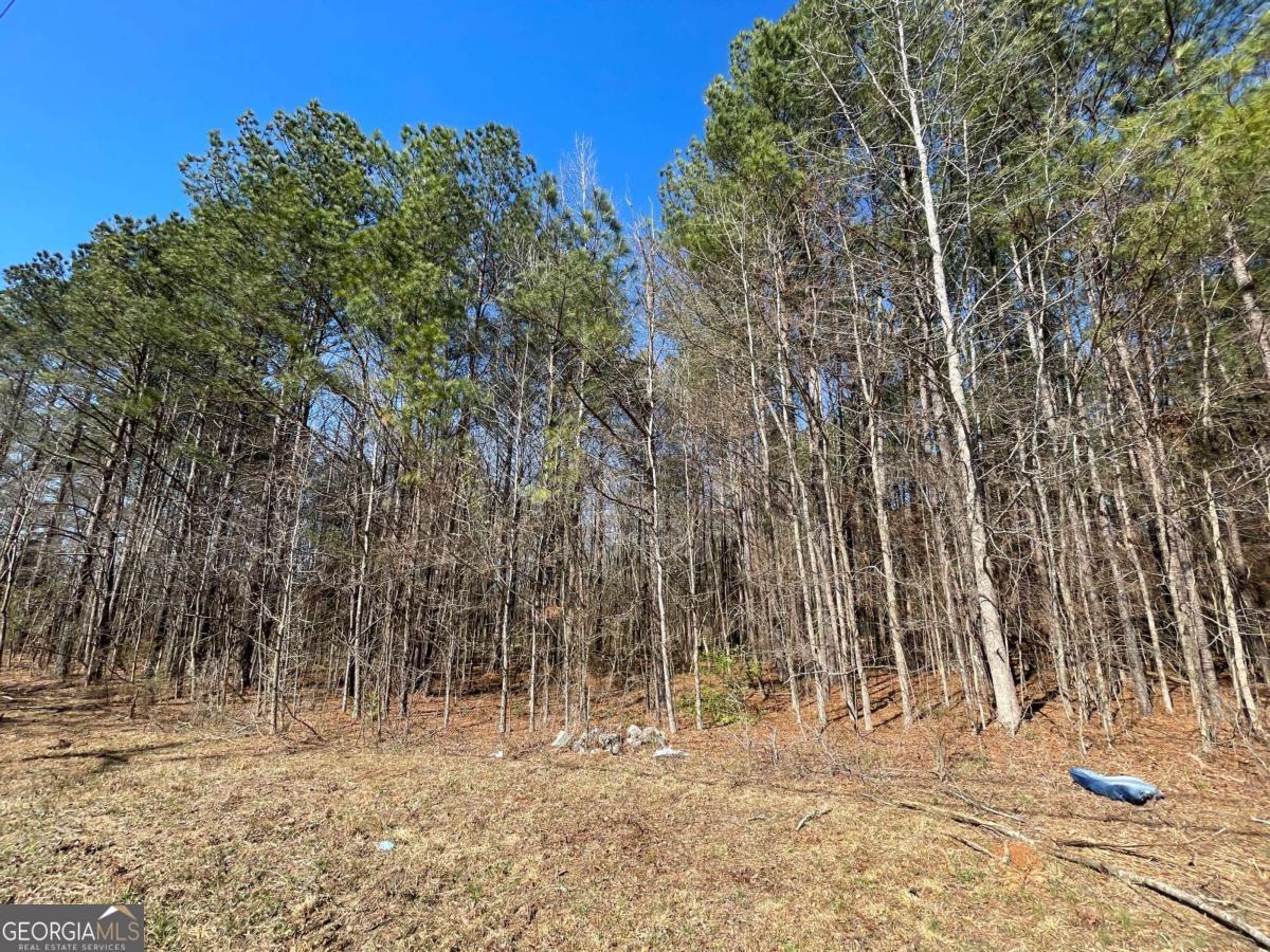 0 Brown Bridge Road Covington GA 30014