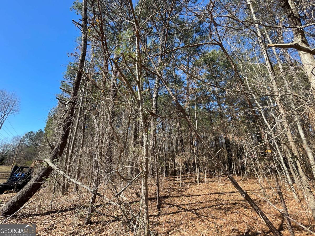 0 Brown Bridge Road Covington GA 30014