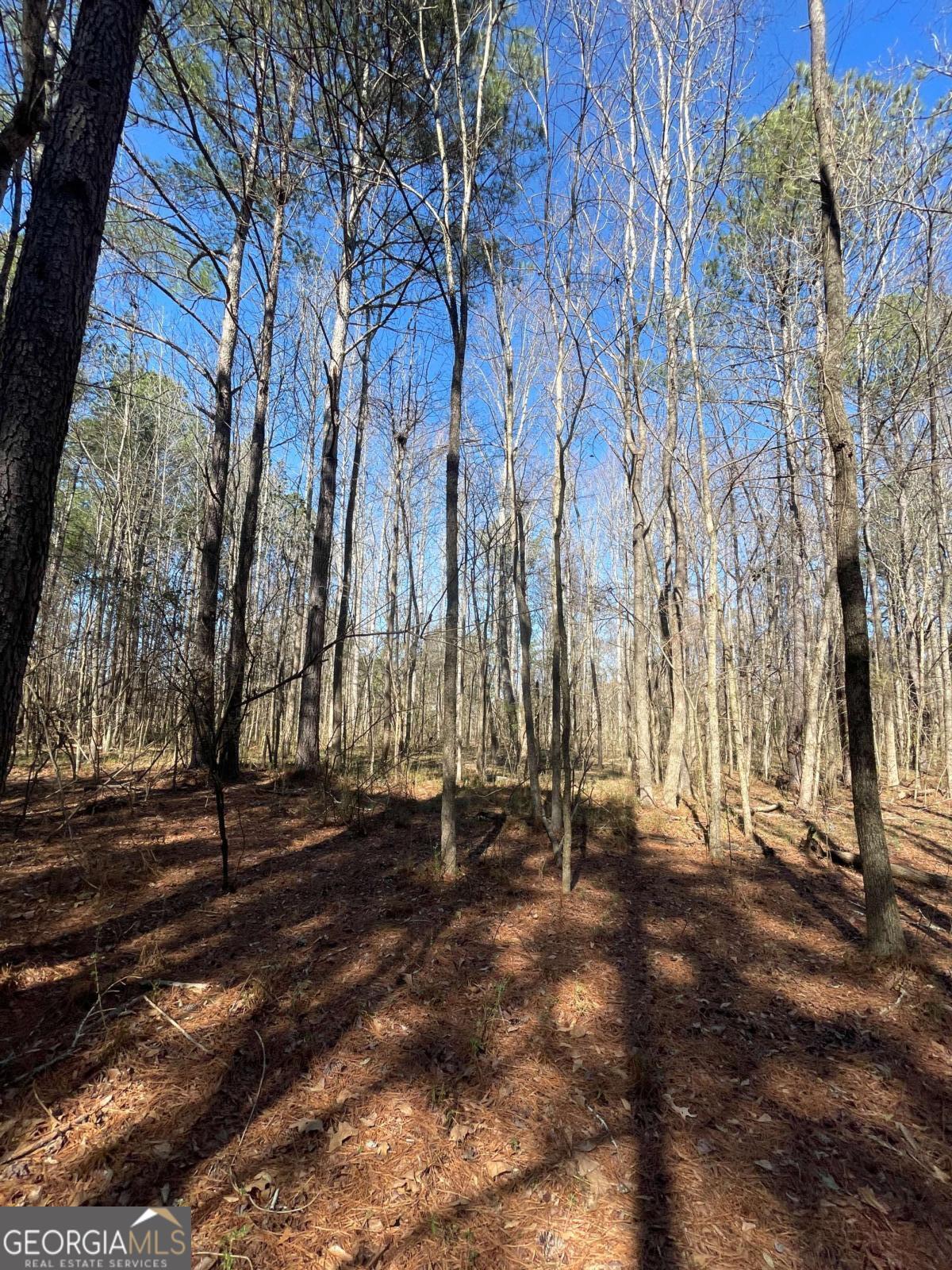 0 Brown Bridge Road Covington GA 30014
