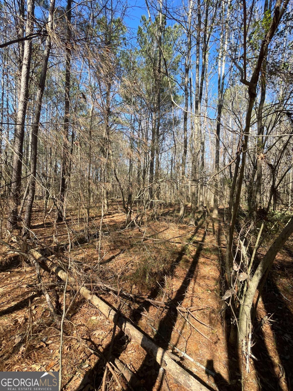 0 Brown Bridge Road Covington GA 30014