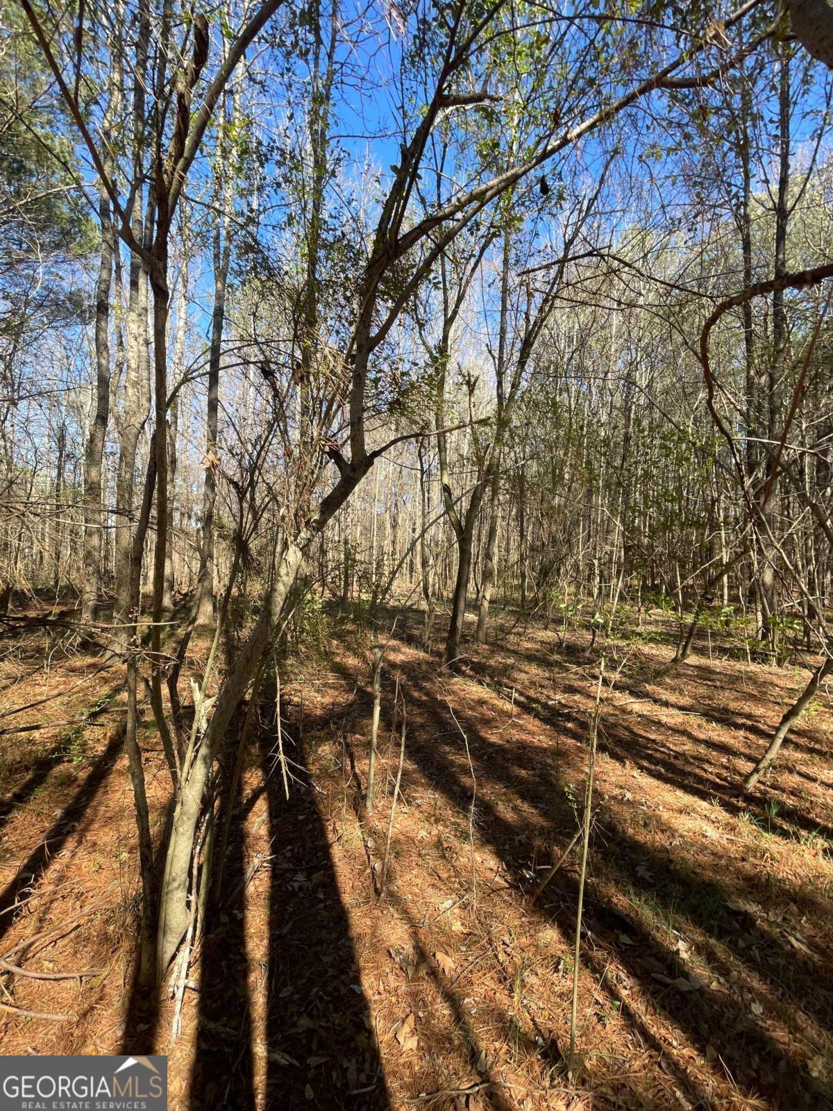 0 Brown Bridge Road Covington GA 30014