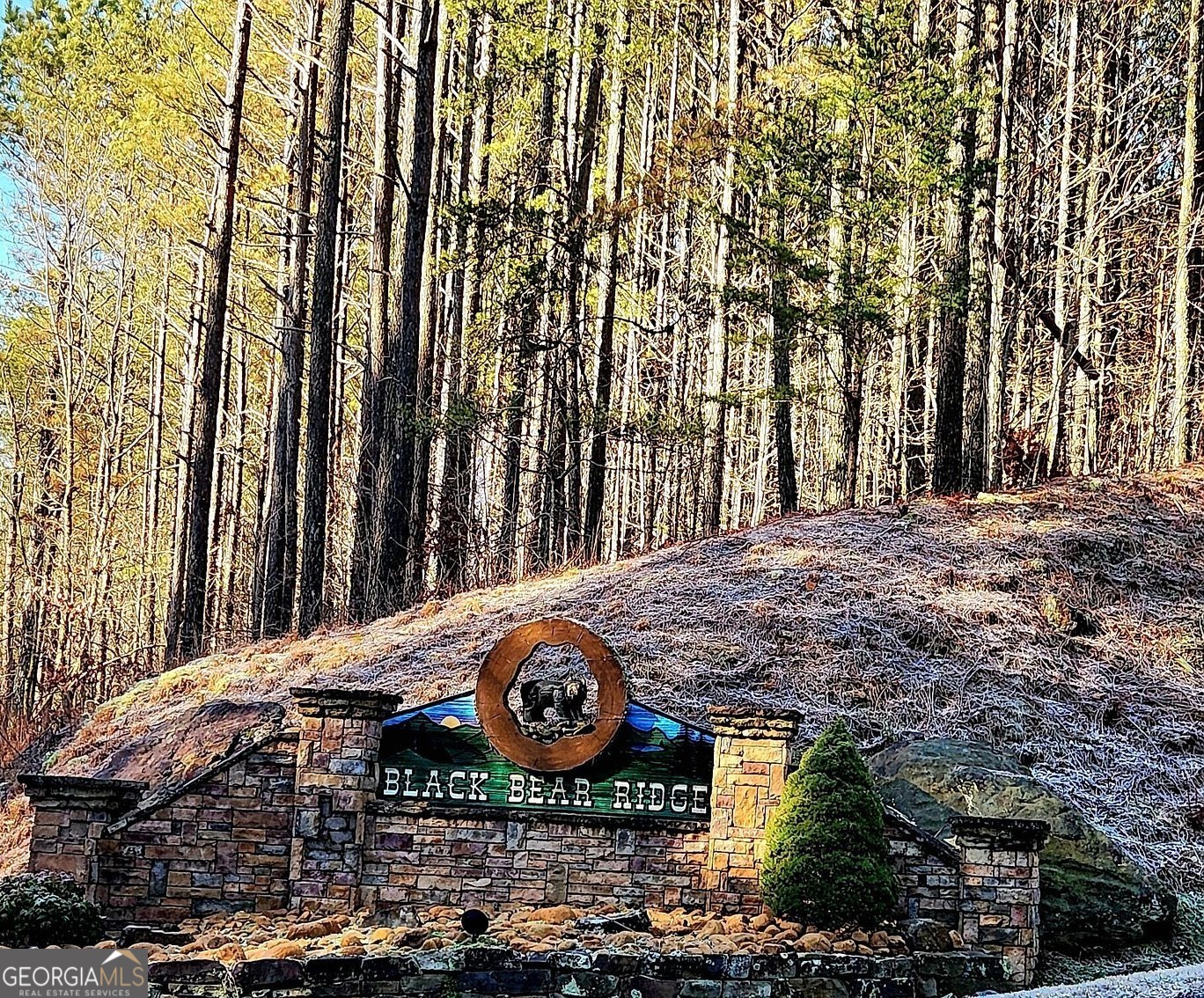 37 Black Bear Ridge Road Ellijay GA 30536