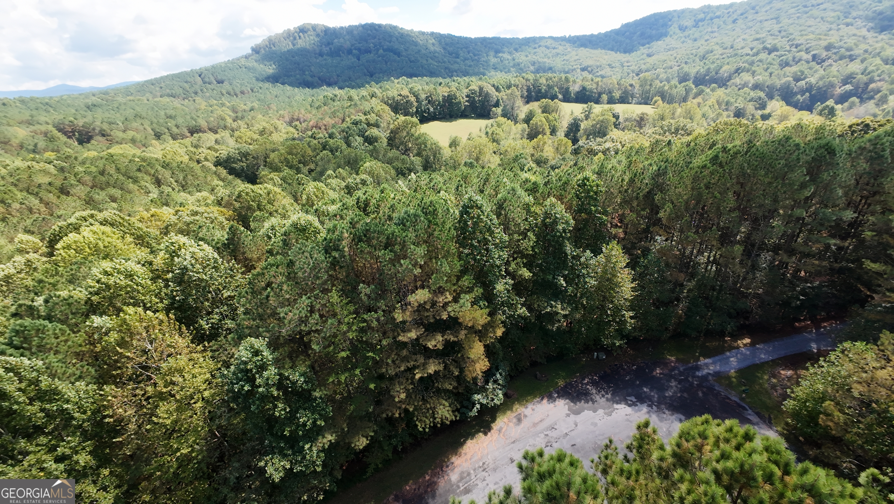 37 Black Bear Ridge Road Ellijay GA 30536