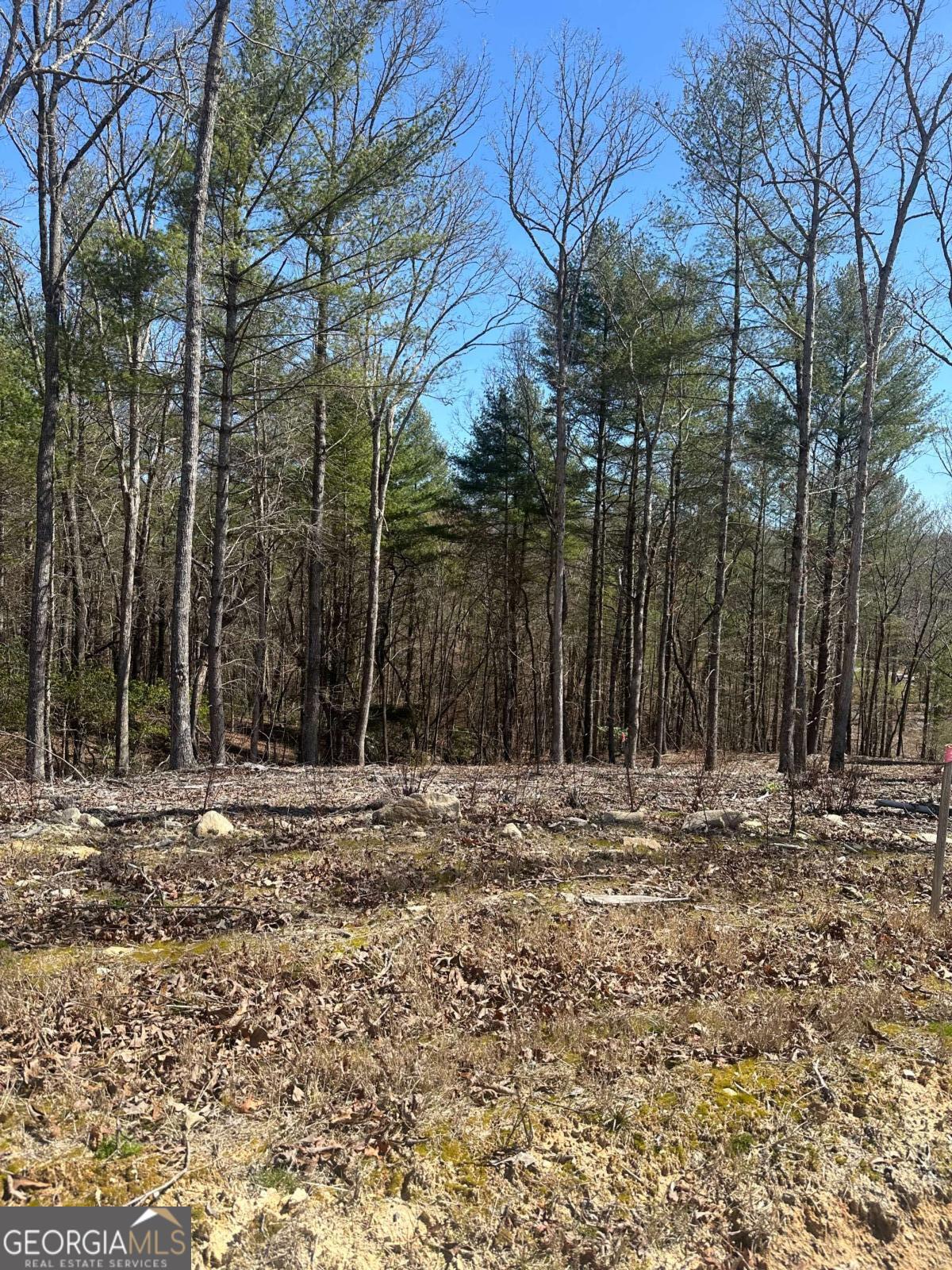 Lot 188 The Ridges Morganton GA 30560
