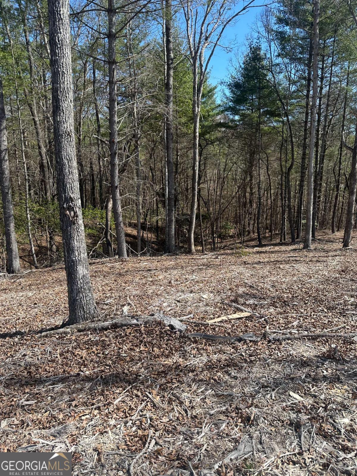 Lot 188 The Ridges Morganton GA 30560