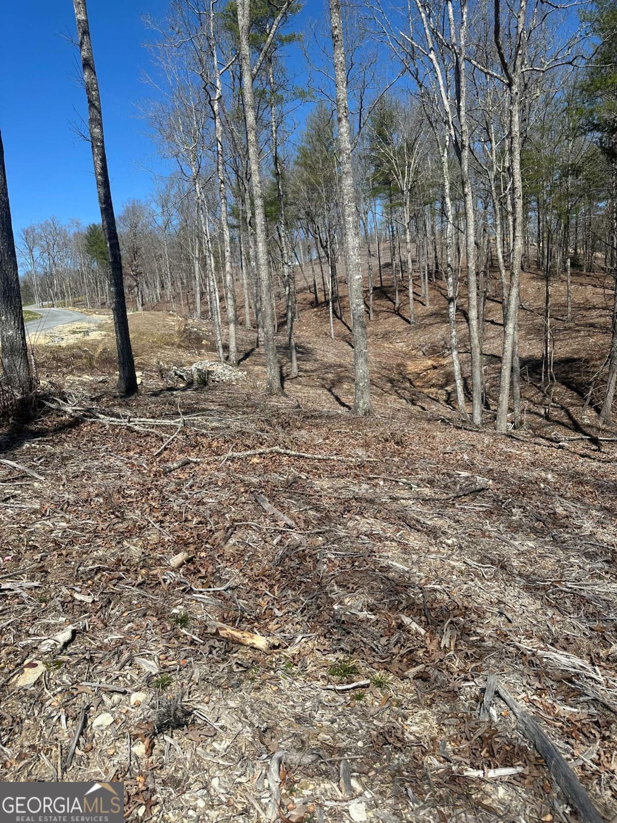 Lot 188 The Ridges Morganton GA 30560