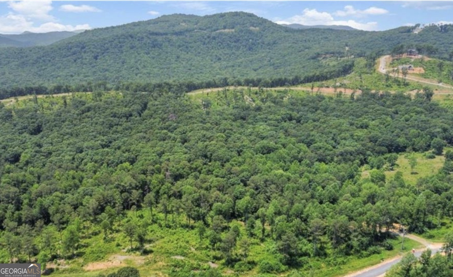 Lot 223 Oak Park Drive Talking Rock GA 30175