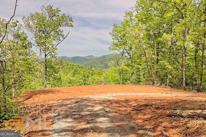 0 Wynngate Drive Dillard GA 30537