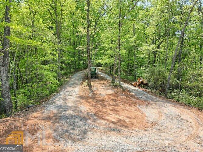 0 Wynngate Drive Dillard GA 30537