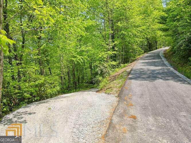 0 Wynngate Drive Dillard GA 30537
