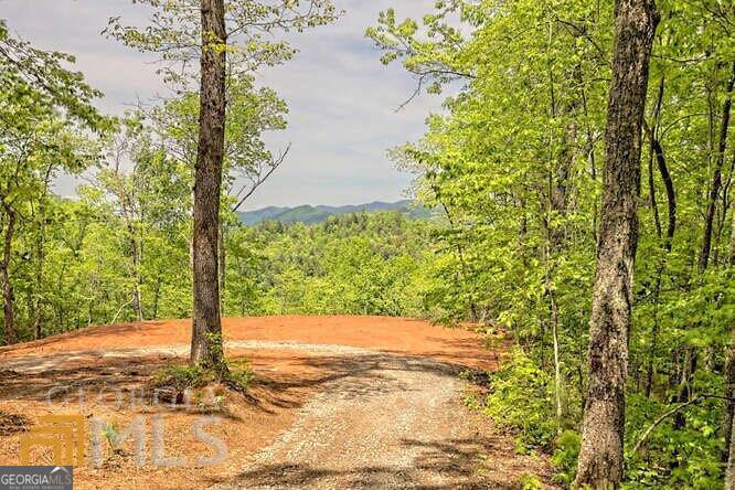 0 Wynngate Drive Dillard GA 30537