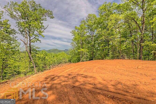 0 Wynngate Drive Dillard GA 30537