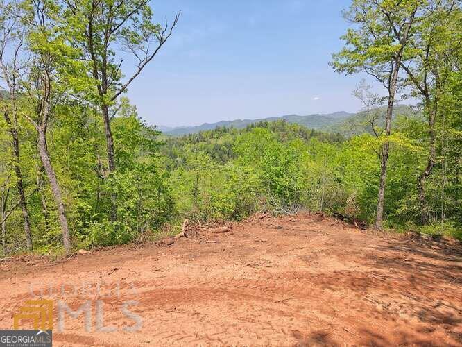 0 Wynngate Drive Dillard GA 30537