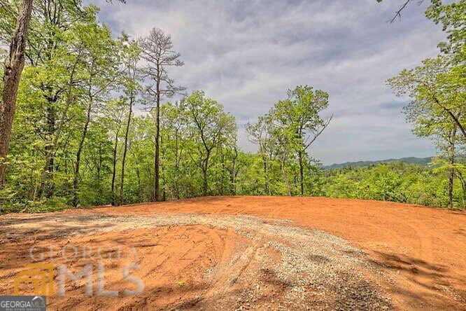 0 Wynngate Drive Dillard GA 30537