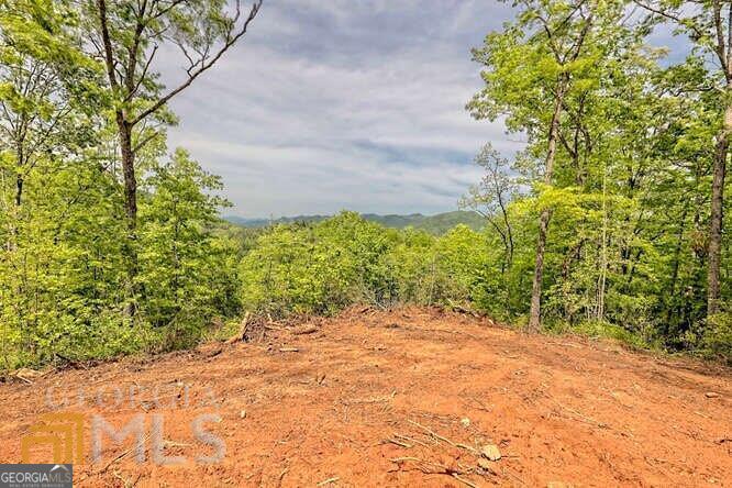 0 Wynngate Drive Dillard GA 30537