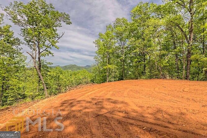 0 Wynngate Drive Dillard GA 30537