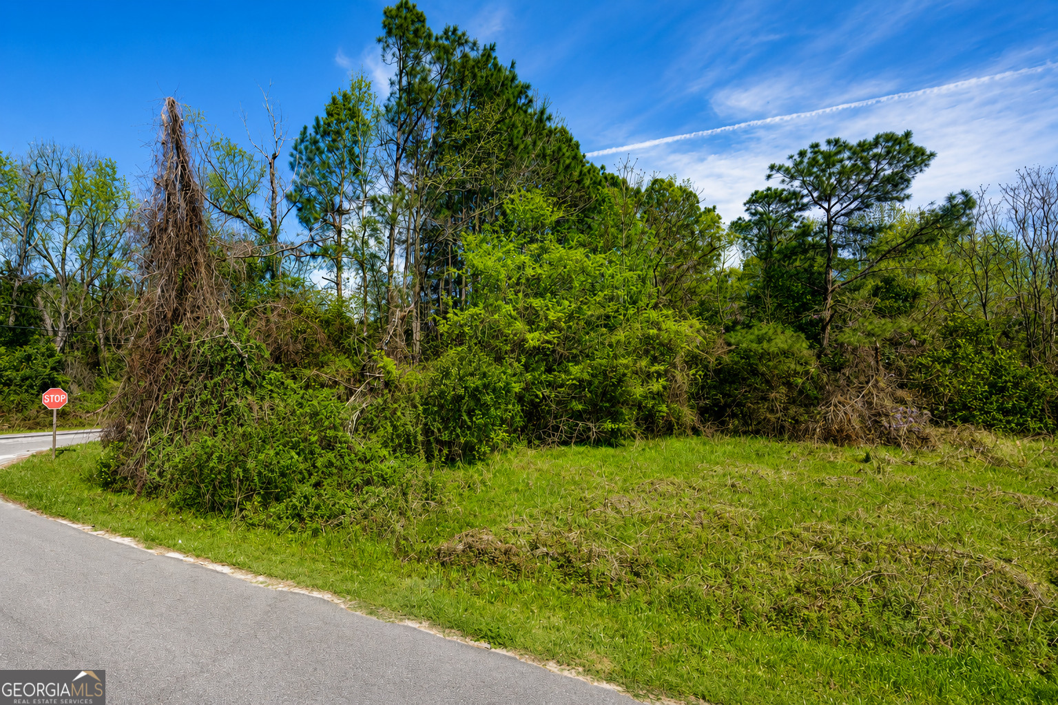 80 Acre Monnie Street Ashburn GA 31714