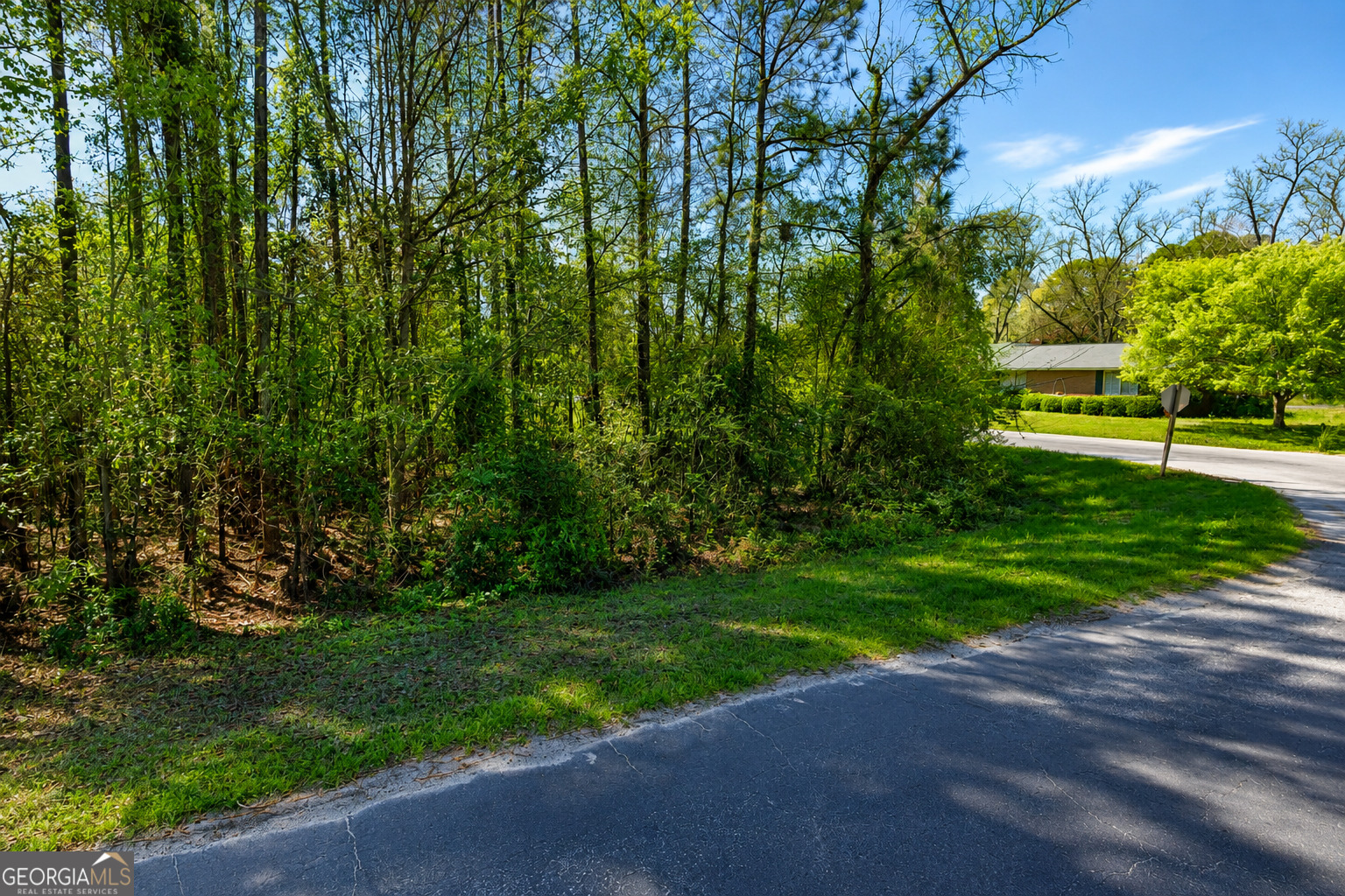 80 Acre Monnie Street Ashburn GA 31714