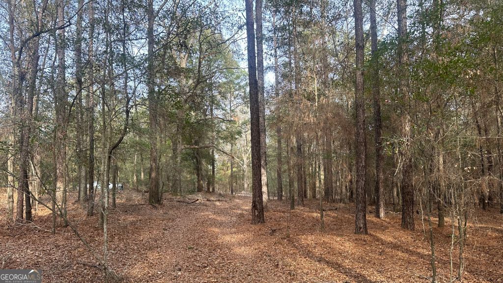 8 Country Club Road Sylvania GA 30467