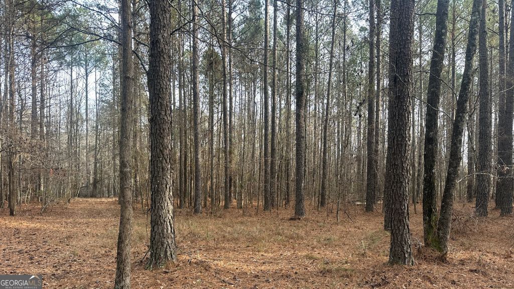 8 Country Club Road Sylvania GA 30467