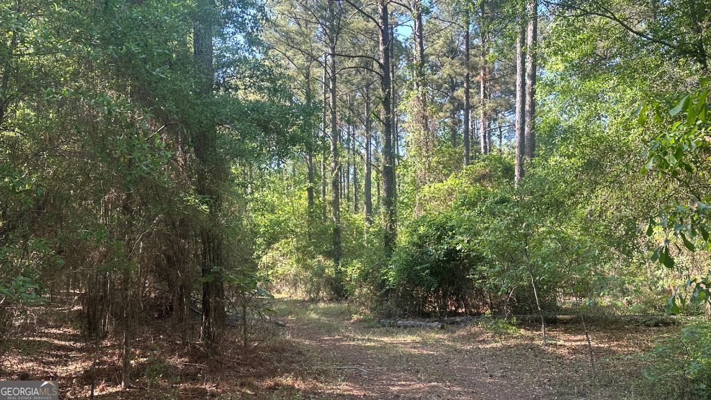 8 Country Club Road Sylvania GA 30467