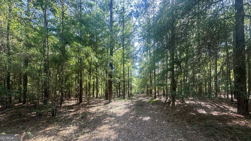 8 Country Club Road Sylvania GA 30467