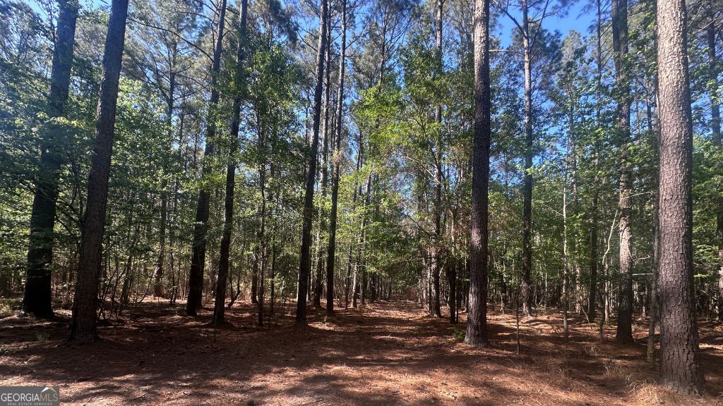 8 Country Club Road Sylvania GA 30467