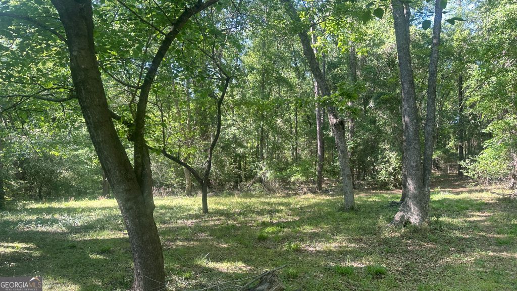 8 Country Club Road Sylvania GA 30467