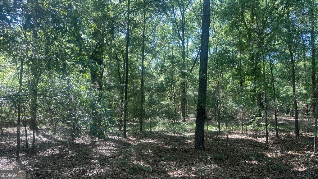 8 Country Club Road Sylvania GA 30467