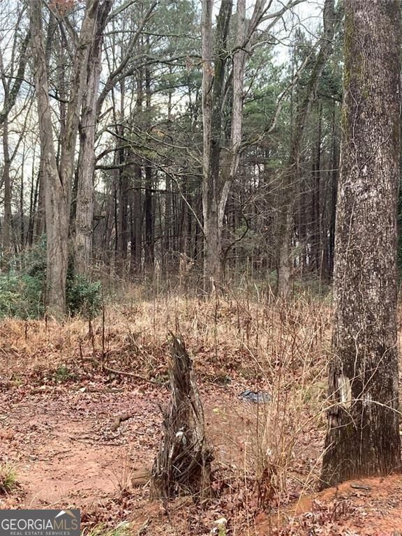 6661 Highway 42 Highway Rex GA 30273