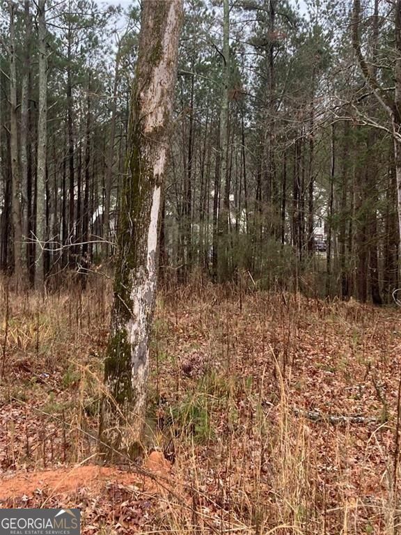 6661 Highway 42 Highway Rex GA 30273