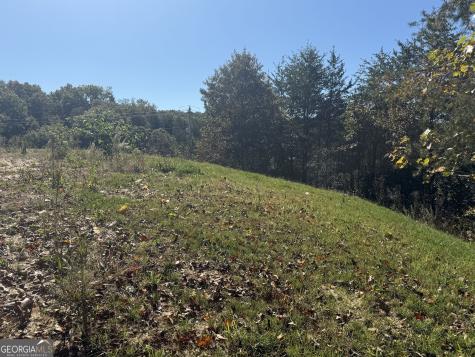 Lot 11 Lindsey Lane Blue Ridge GA 30513